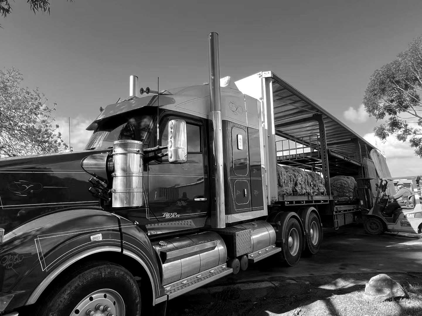 A road train loaded with baled skins at the Kooka Australia yard, ready for export.
