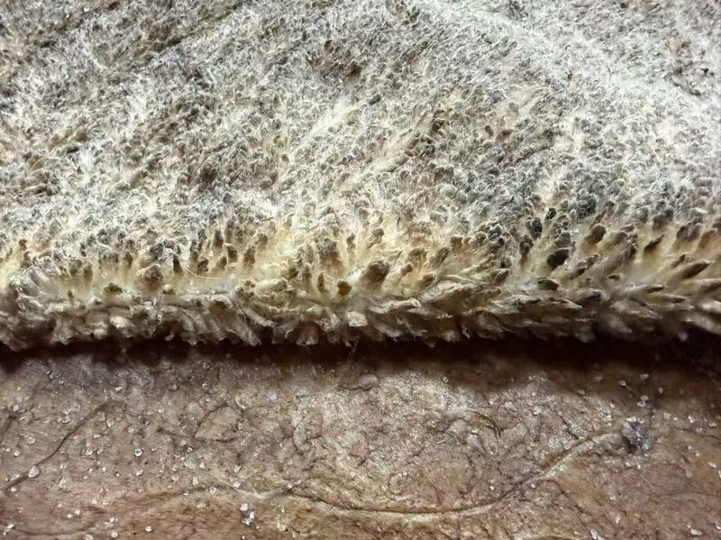 1/8 to 1/4 Merino sheepskin